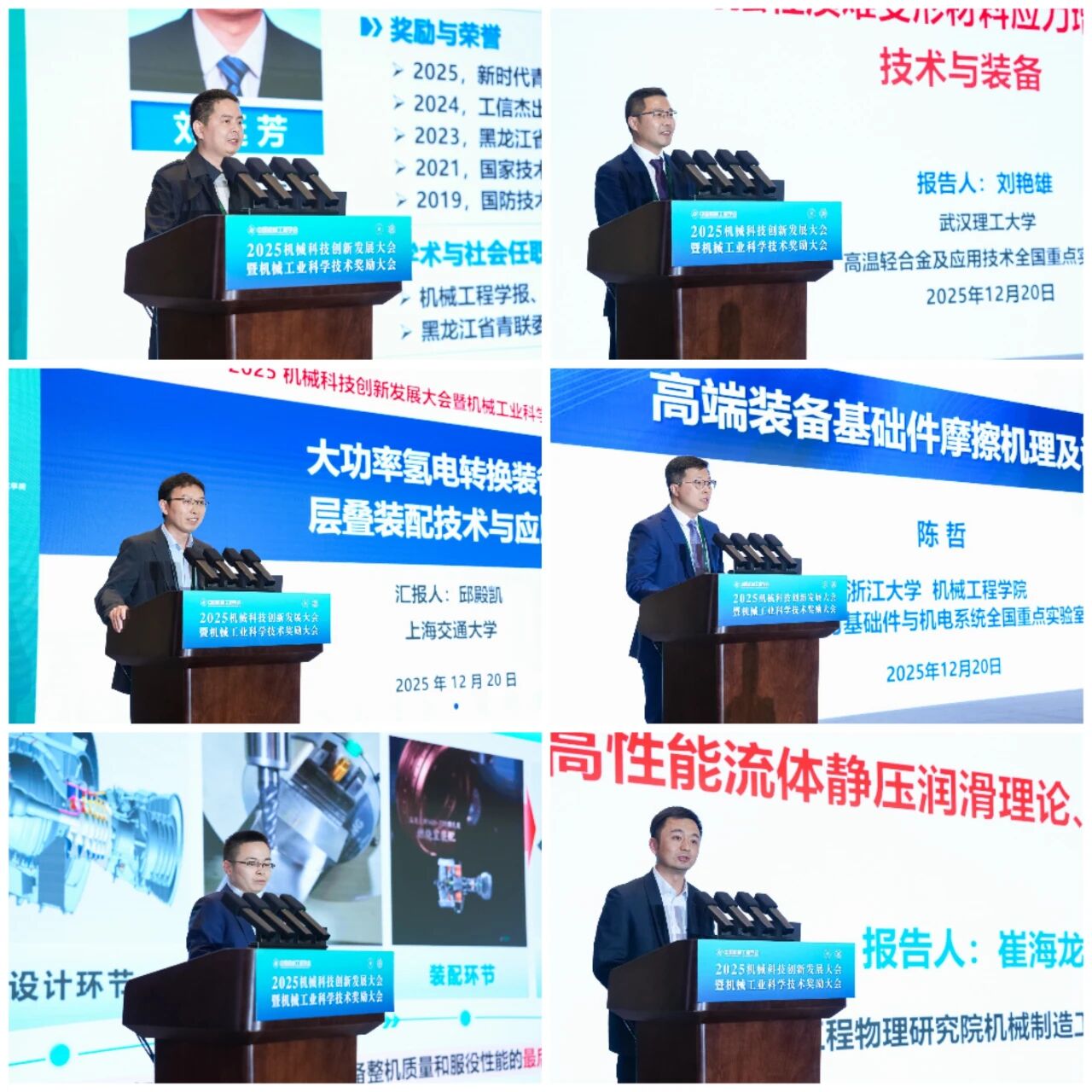 1766485716538404.jpg 17.jpg