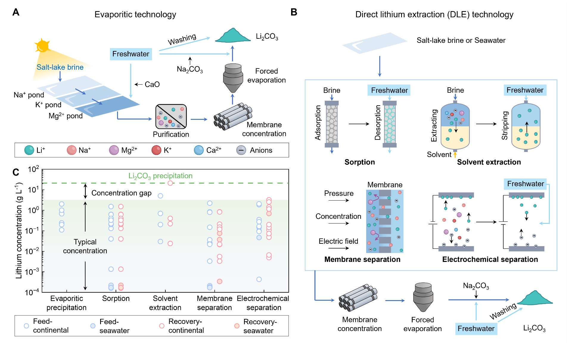 1770103538811752.jpg 徐震原1.jpg