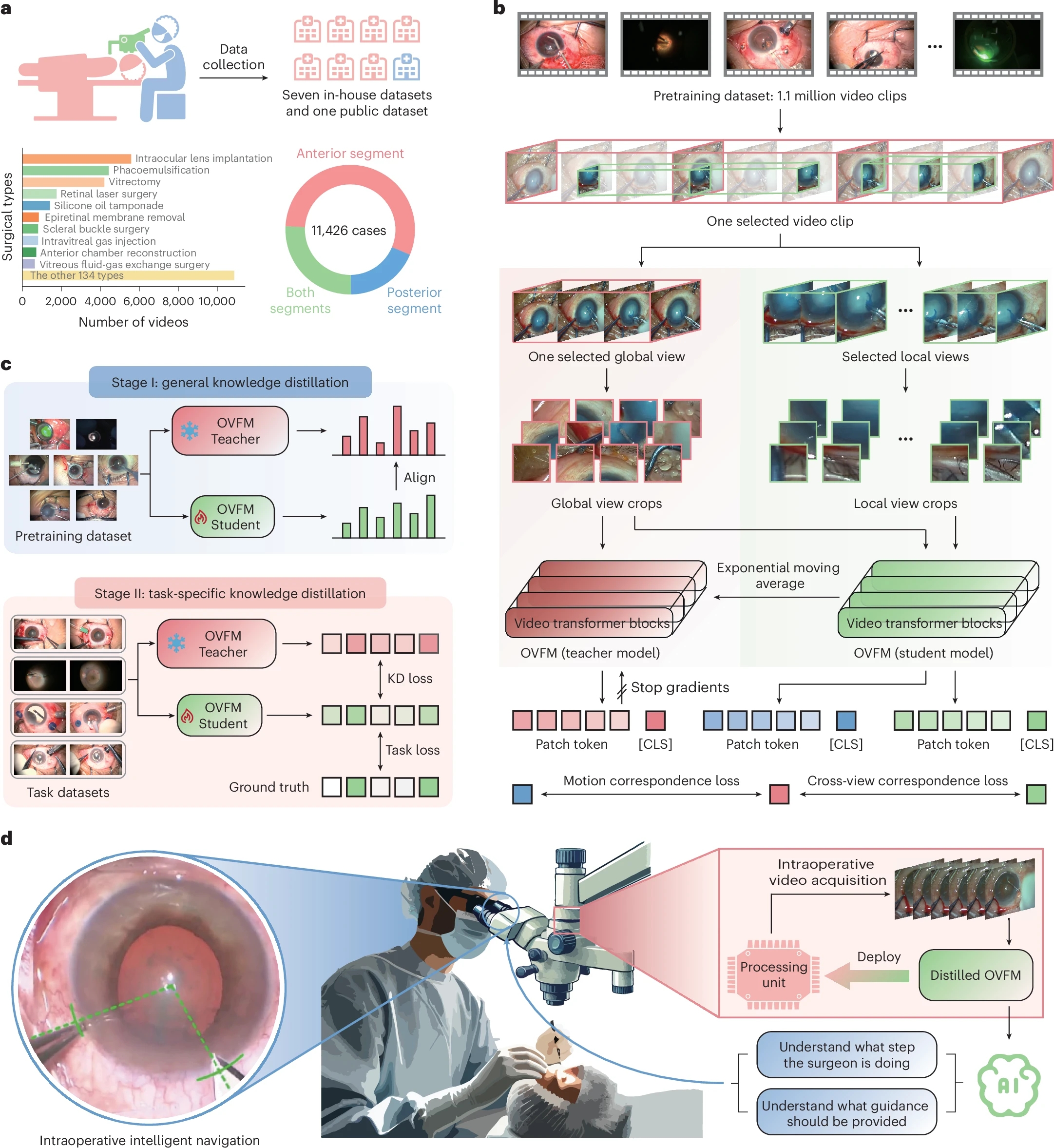 1773302261475459.jpg 41551_2026_1622_Fig1_HTML_副本.jpg