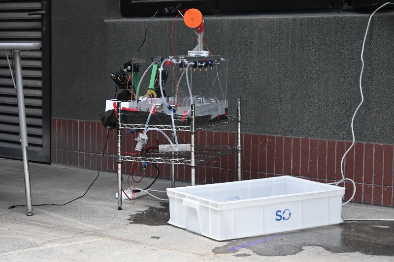 图7 叶菜赛道作品评审_resized.JPG